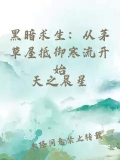 黑暗求生：从茅草屋抵御寒流开始