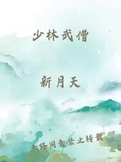 少林武僧