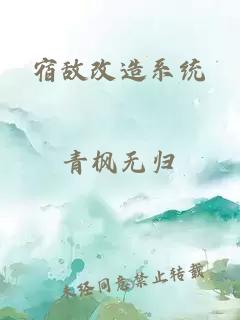 宿敌改造系统